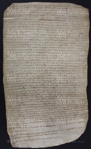 23 B.9.XXIIIr, Investitura fatta da Varino vescovo a favore di Giovanni prete e dei fratelli Domenico e Pietro, Modena, [1018-1019, feb. 10]